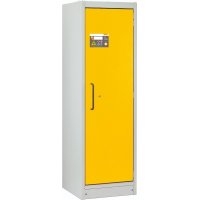 Armoire anti-feu PROline 6/20 F90, 1 porte droite - CEMO