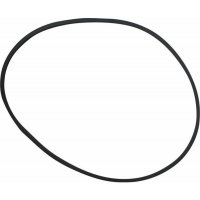 Courroie de rechange Poly V pour BT PRO 170/190 et Performance 200 - HAEMMERLIN