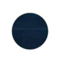 Plaque de montage pour 1 patin de polissage Ø170mm pour BSM 450E - LISSMAC