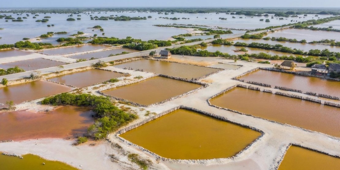 Motopompe pour aquaculture